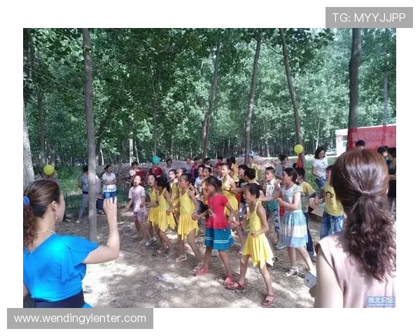 问鼎娱乐app网址安全可靠，详细介绍官方入口及常见登录问题解决方案