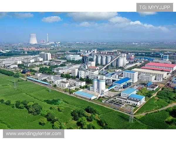 问鼎集团企业治理结构优化对公司长期稳定发展的影响