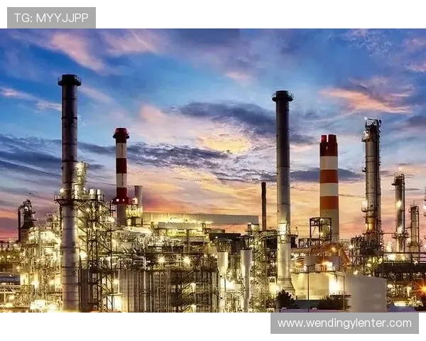 问鼎集团未来发展战略规划与创新转型路径探索